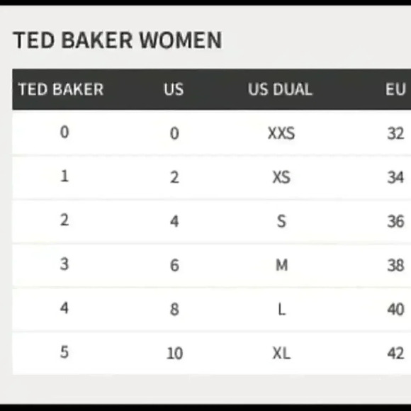 Ted Baker Skirt - Picture 10 of 12